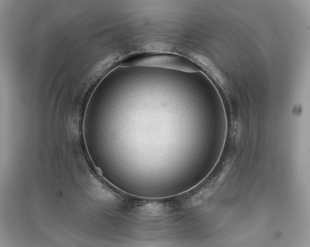 X0000091080441200708131300