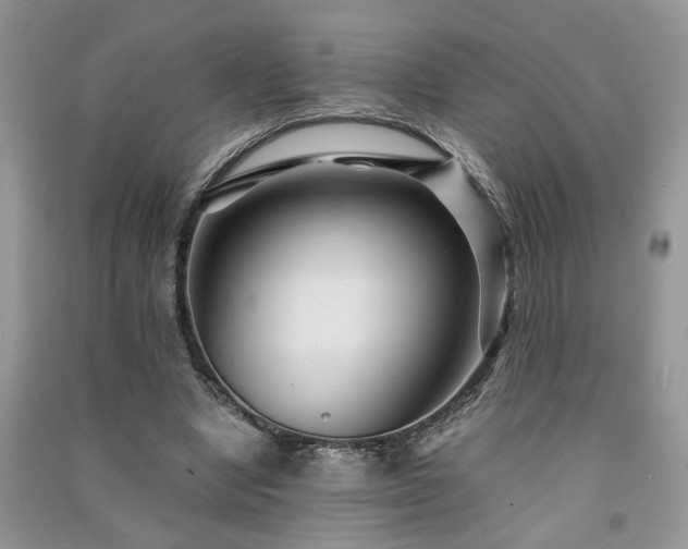 X0000091080442200708131300