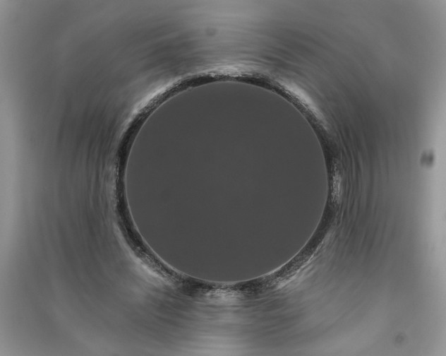 X0000091080444200708131301