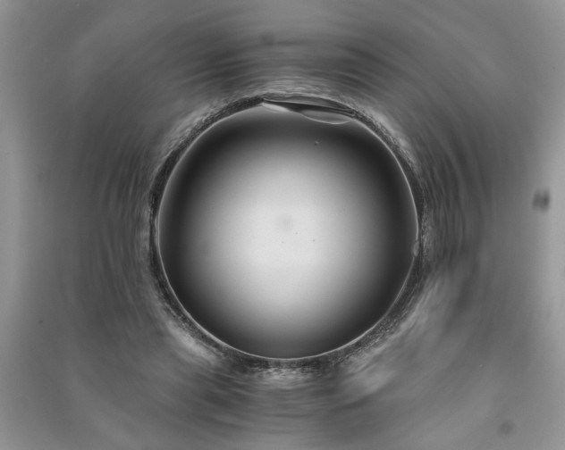 X0000091080445200708131301