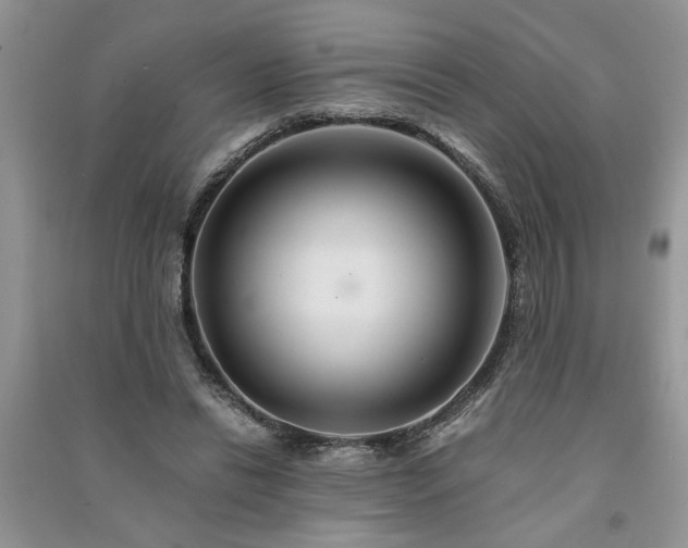 X0000091080446200708131301