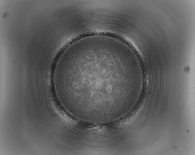 X0000091080447200708131301