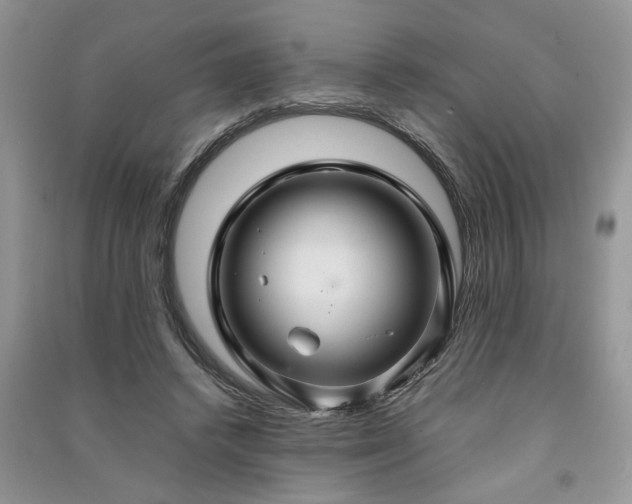 X0000091080448200708131301