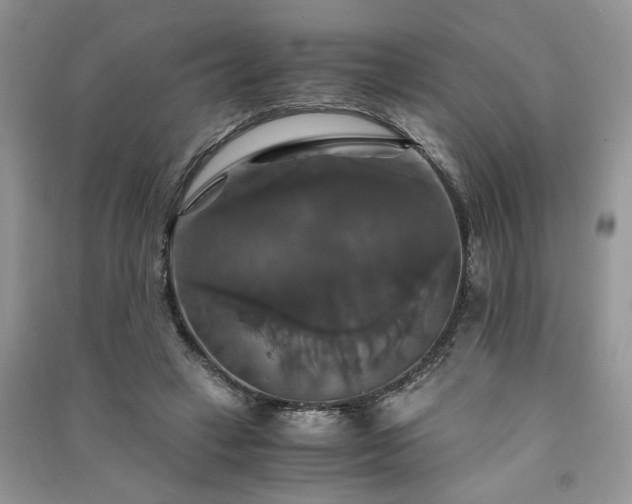 X0000091080449200708131301