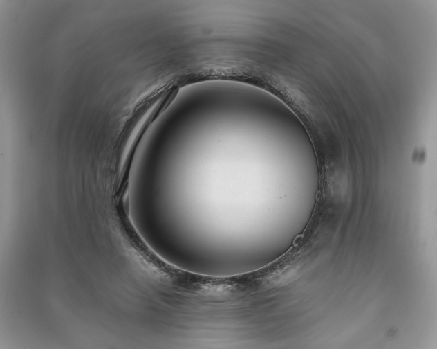 X0000091080450200708131301