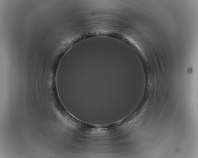 X0000091080451200708131301