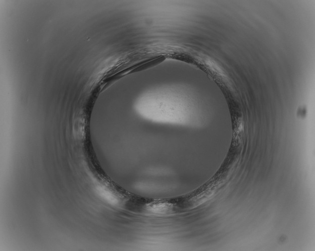 X0000091080452200708131301