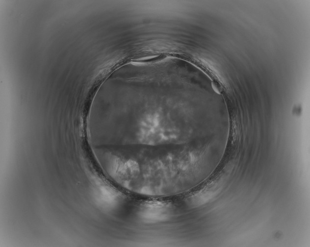 X0000091080453200708131301