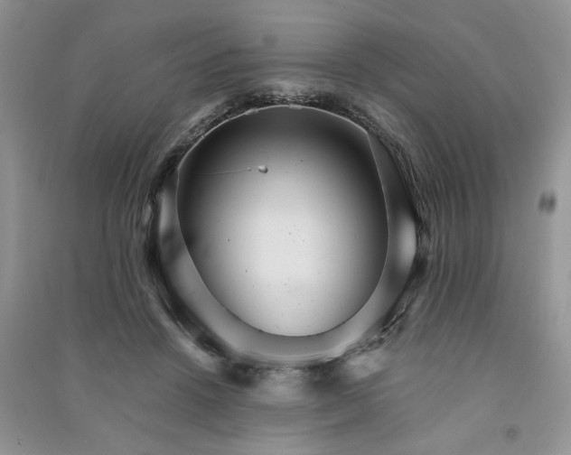 X0000091080456200708131301