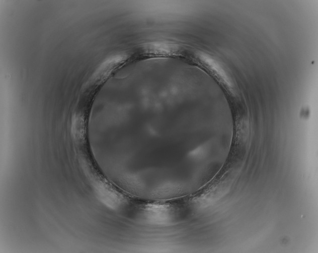 X0000091080457200708131301