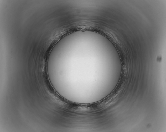 X0000091080458200708131301