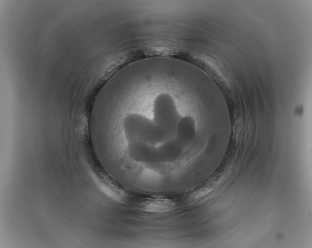 X0000091080459200708131301