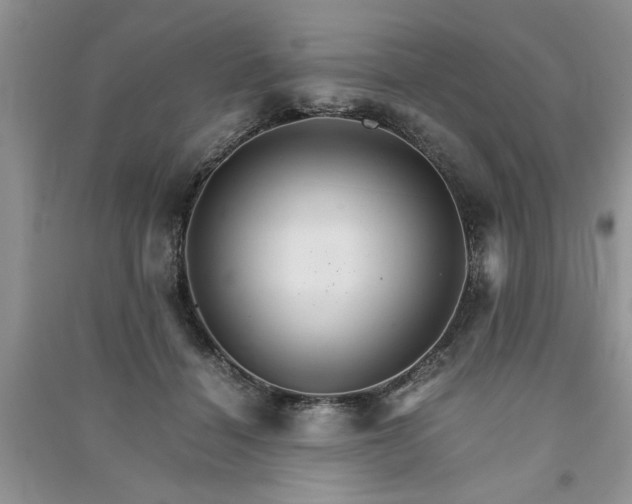 X0000091080460200708131301