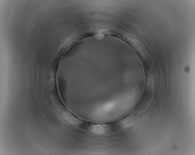 X0000091080461200708131301