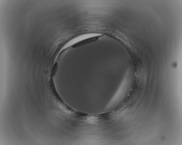 X0000091080462200708131301