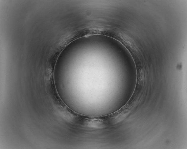 X0000091080463200708131301