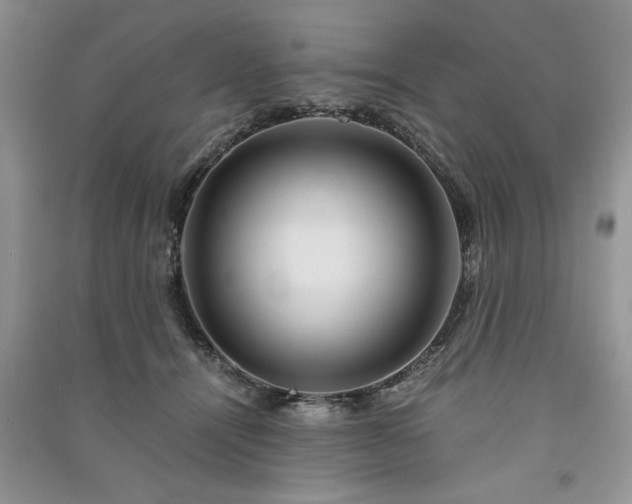 X0000091080464200708131301