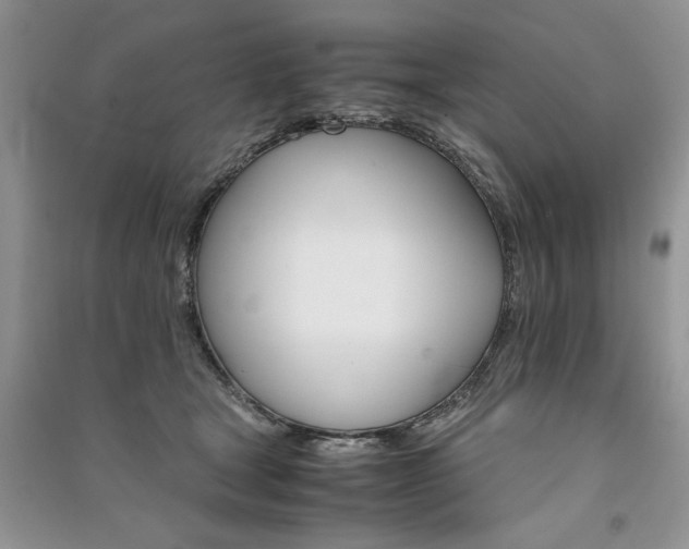 X0000091080465200708131301