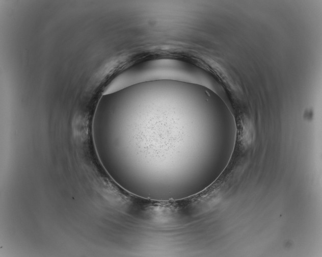 X0000091080466200708131301