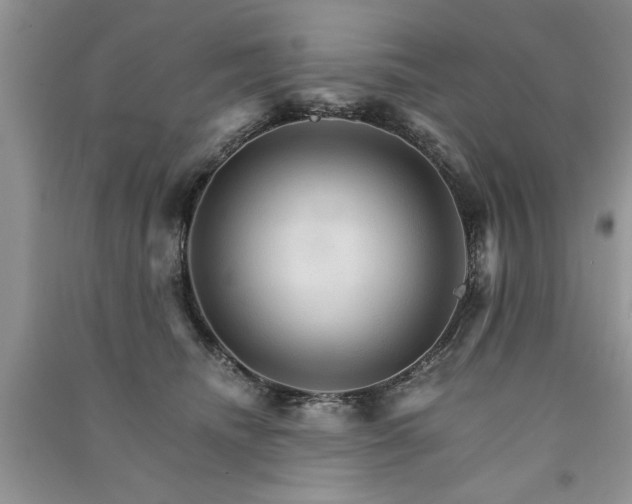 X0000091080468200708131301