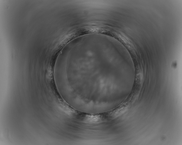 X0000091080469200708131301