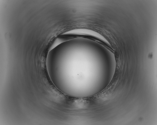 X0000091080470200708131301