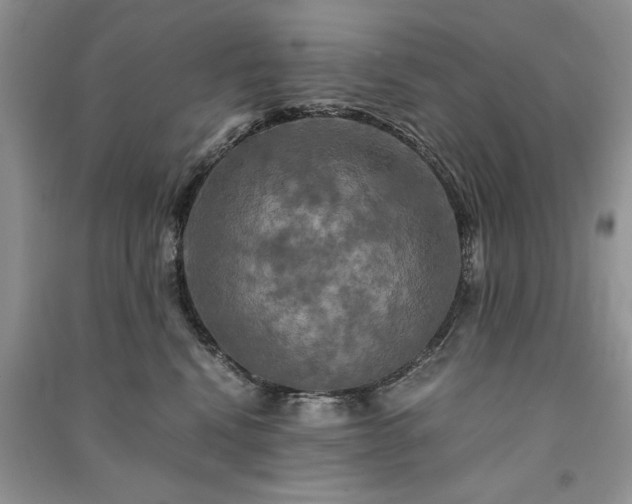 X0000091080472200708131301