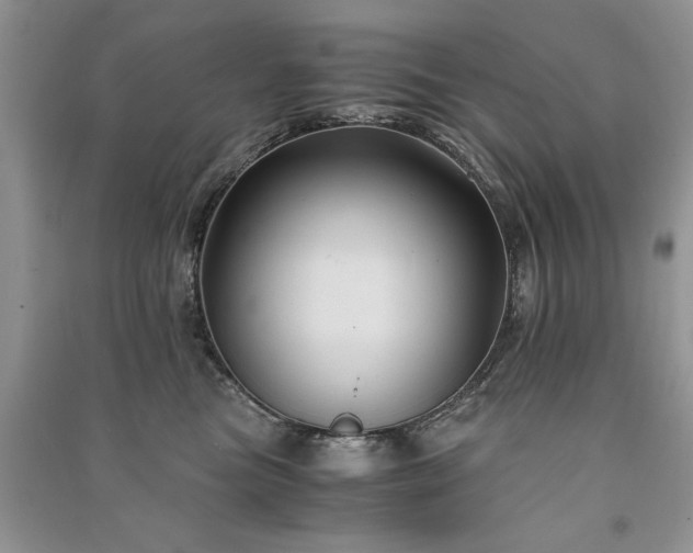 X0000091080473200708131301