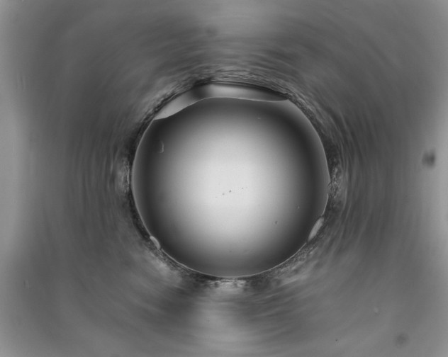 X0000091080474200708131301