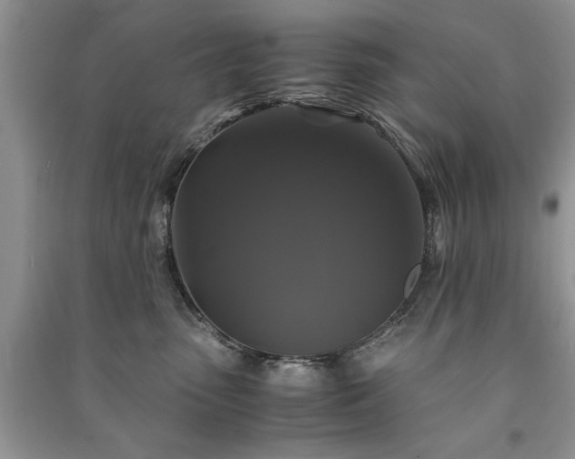 X0000091080475200708131301