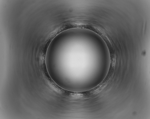 X0000091080476200708131301