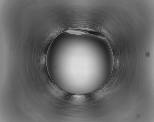 X0000091080477200708131301