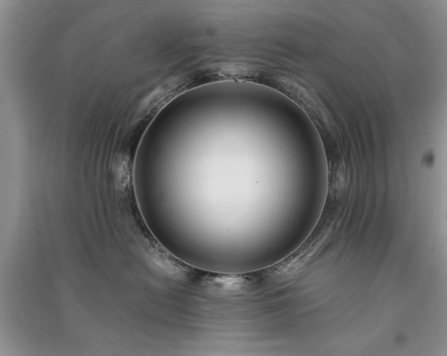 X0000091080478200708131301