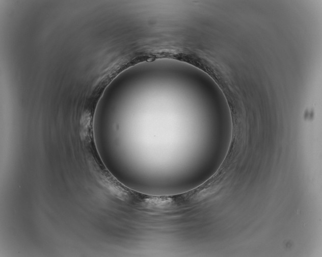 X0000091080480200708131301