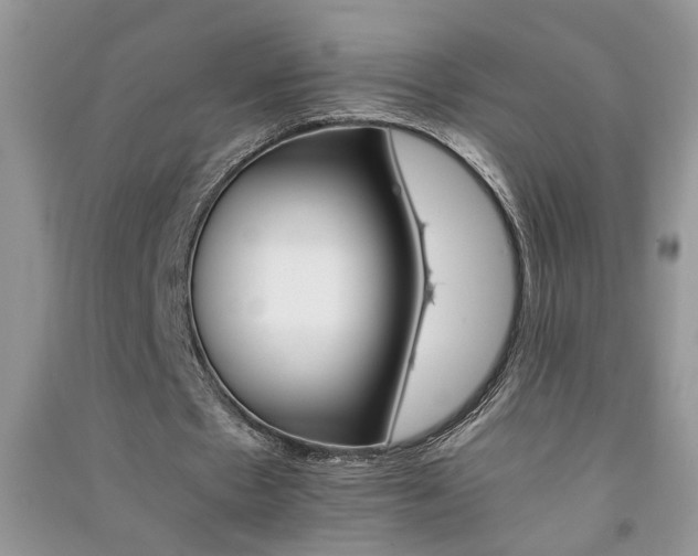 X0000091080481200708131300