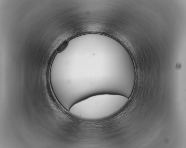 X0000091080482200708131300