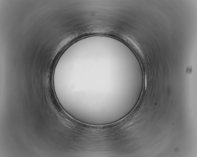 X0000091080483200708131300