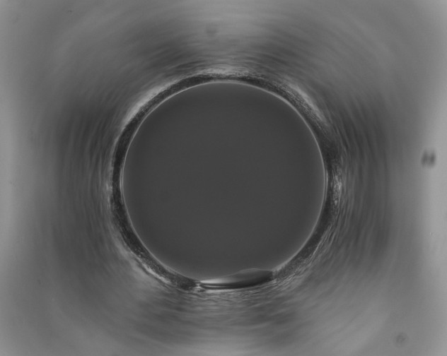 X0000091080484200708131300