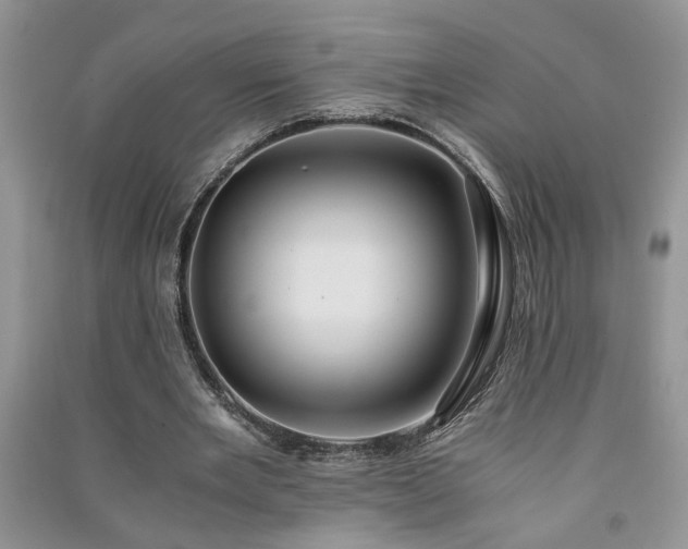 X0000091080485200708131300