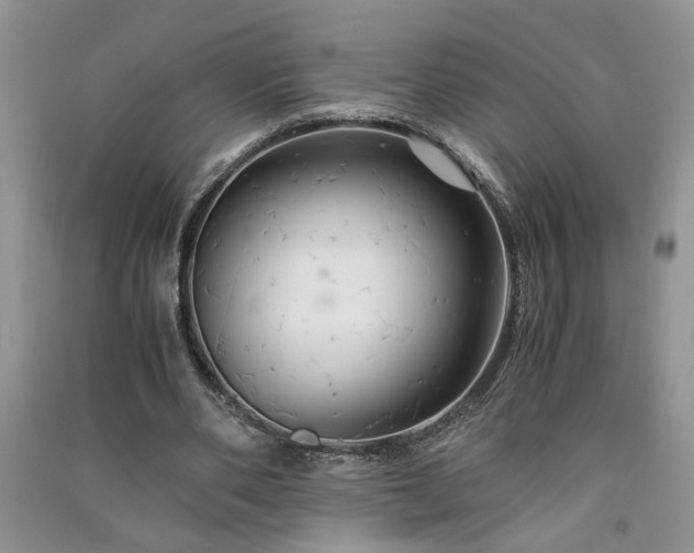 X0000091080486200708131300