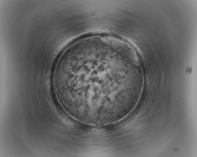 X0000091080487200708131300