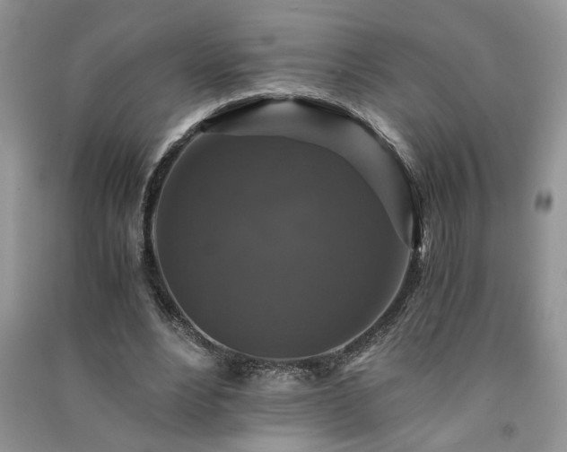 X0000091080488200708131300