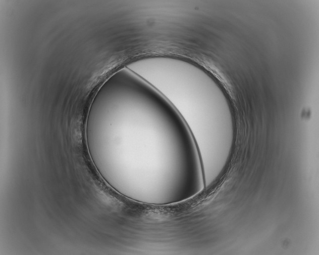 X0000091080489200708131300