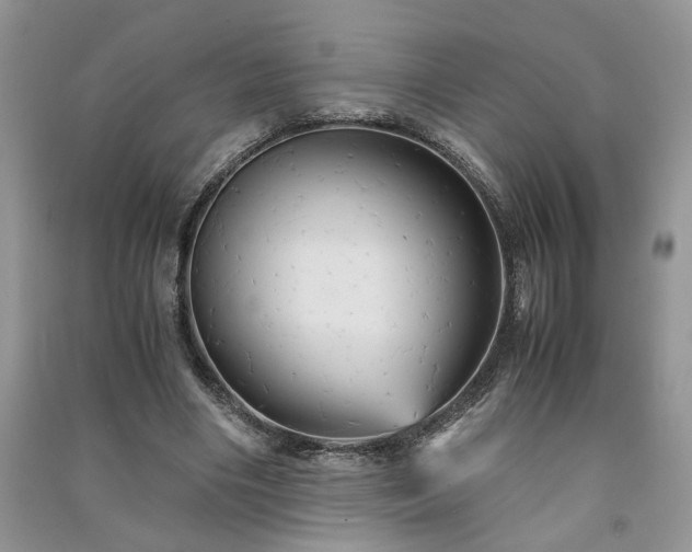 X0000091080490200708131300