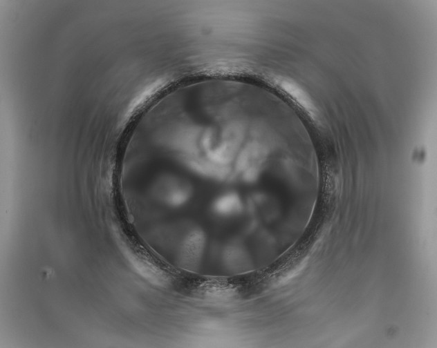 X0000091080491200708131300