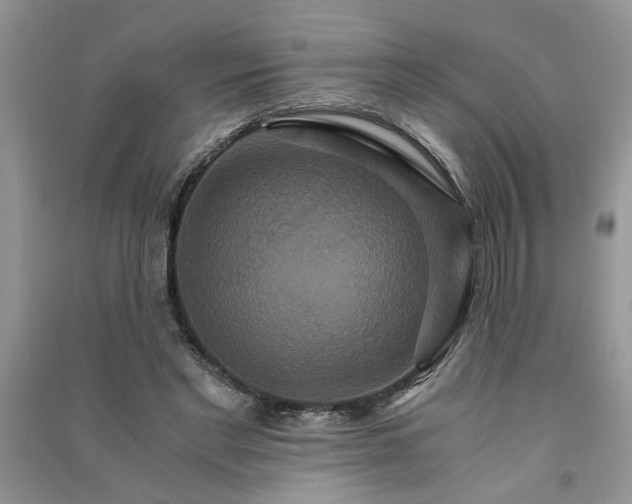 X0000091080493200708131300