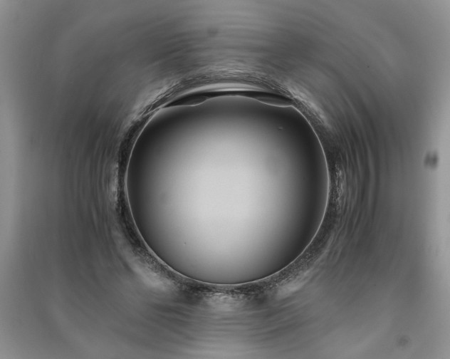 X0000091080494200708131300