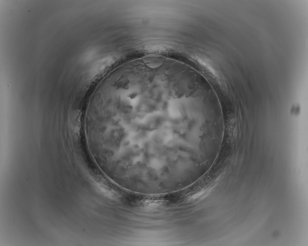 X0000091080495200708131300