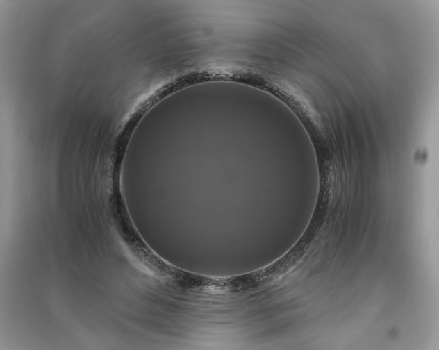 X0000091080496200708131300