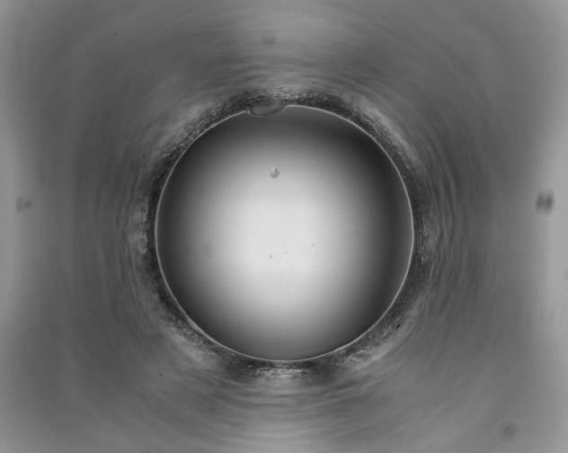 X0000091080497200708131300